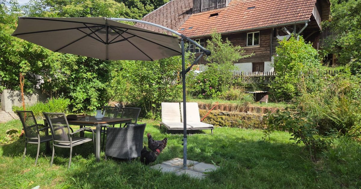 Bild vom Acher